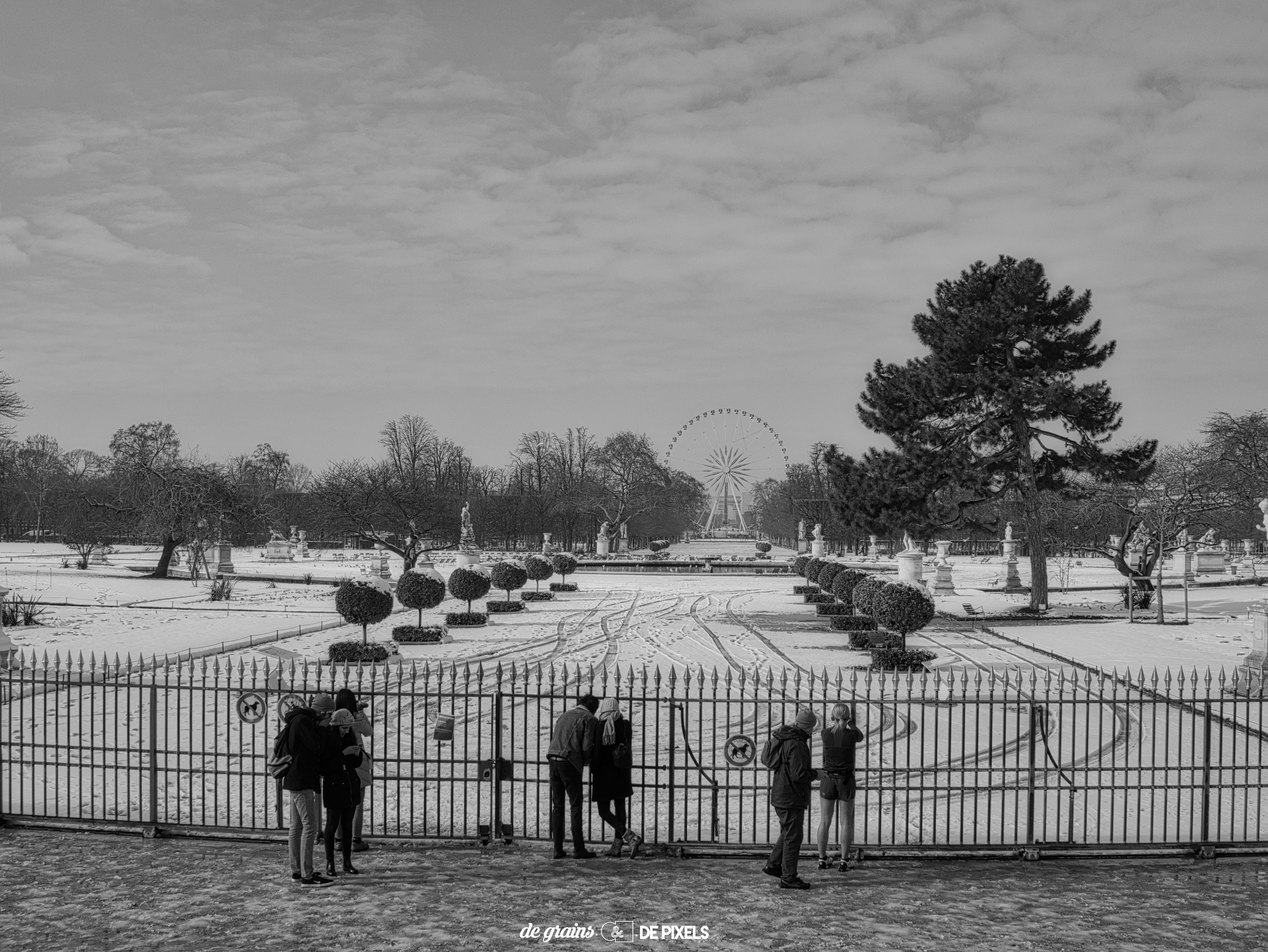 WINTER IN PARIS